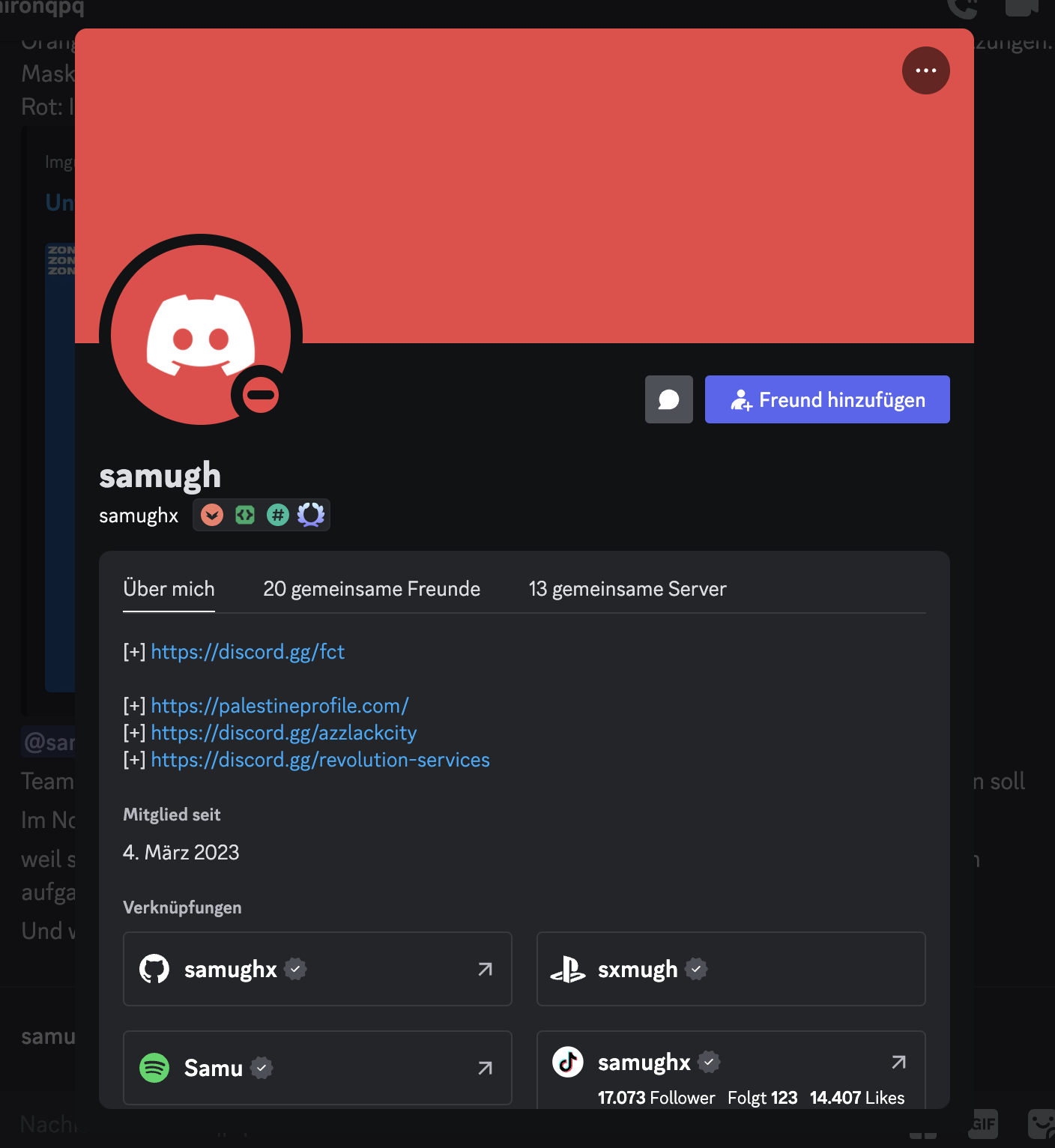 Discord Profil Screenshot